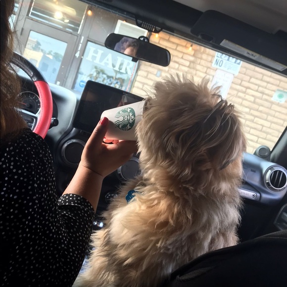 Meet your Posher, Alejandra - Picture 2 of 9